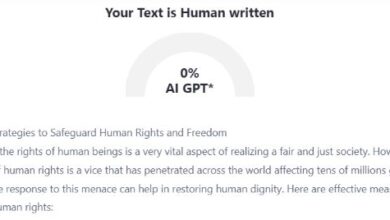 Human Rights