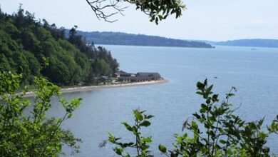 Camano Island in Washington