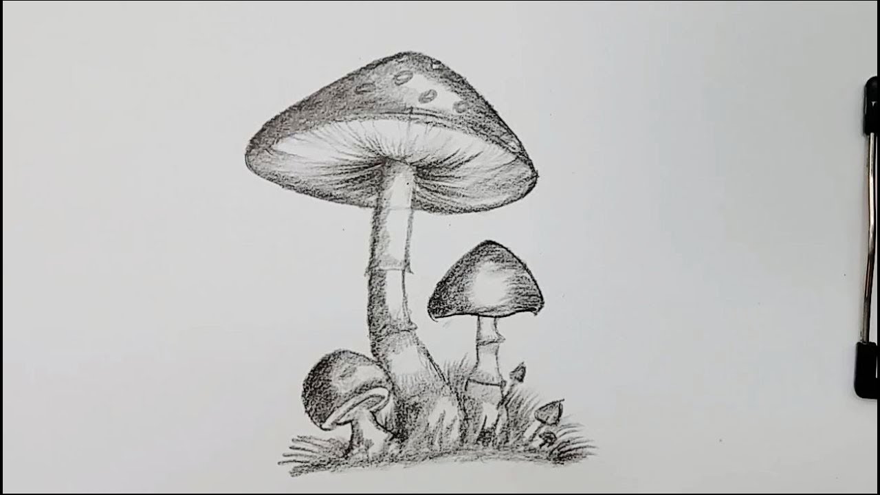 drawing:places jepq= mushroom