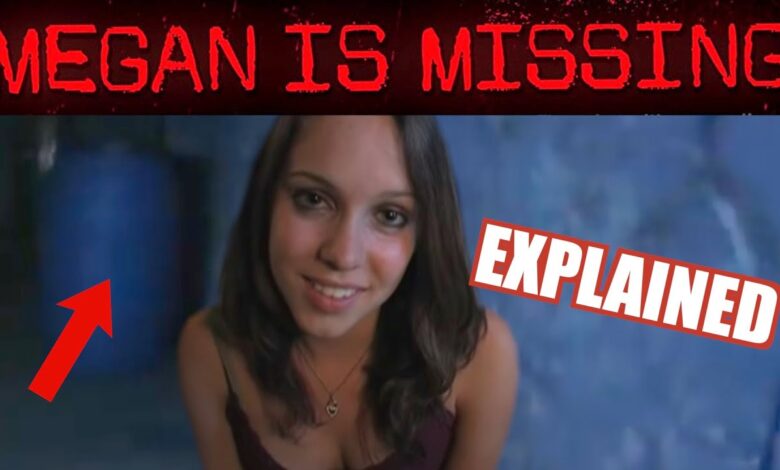 Megan Is Missing