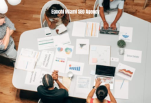 Egochi Miami SEO Agency