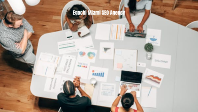 Egochi Miami SEO Agency