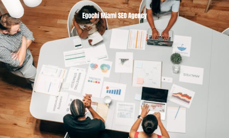 Egochi Miami SEO Agency