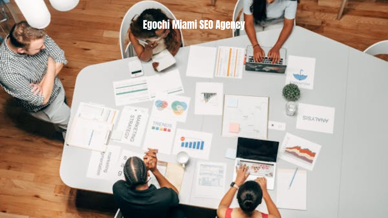 Egochi Miami SEO Agency